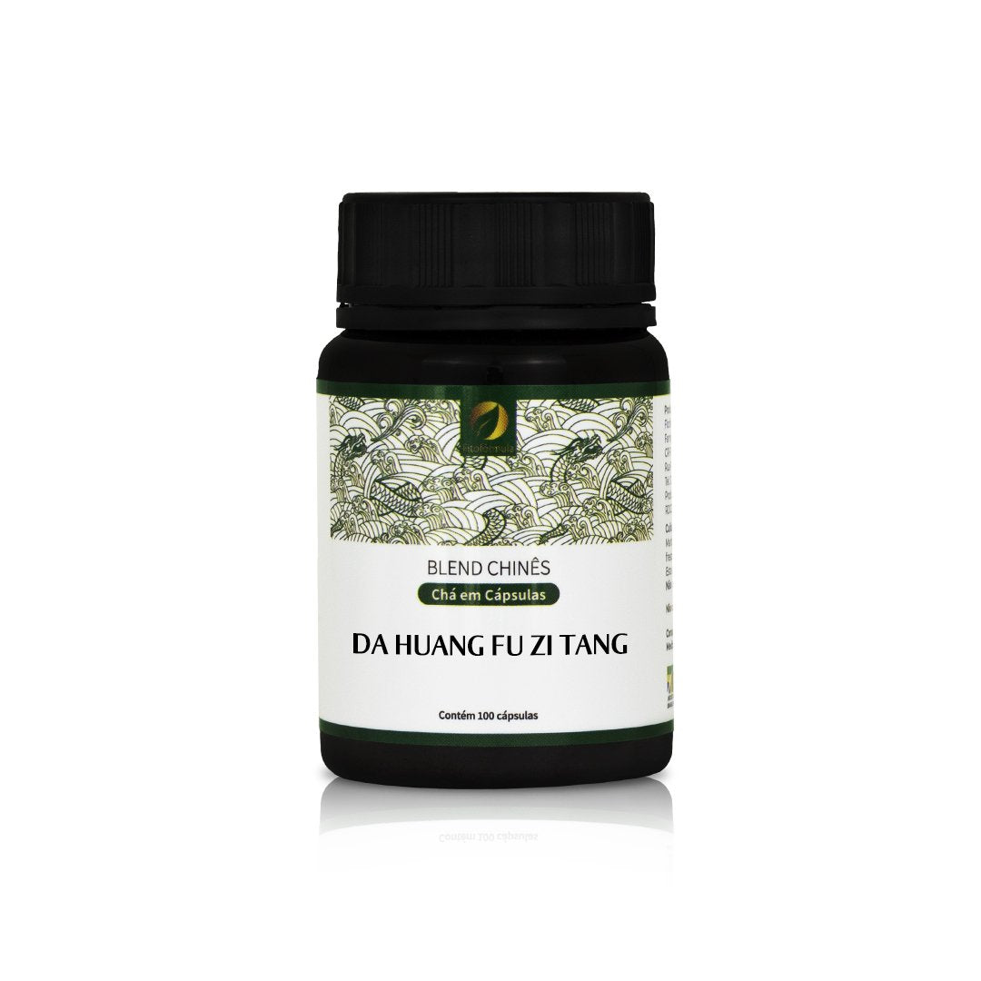 DA HUANG FU ZI TANG